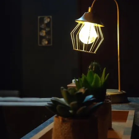 Musee-home - Centre *